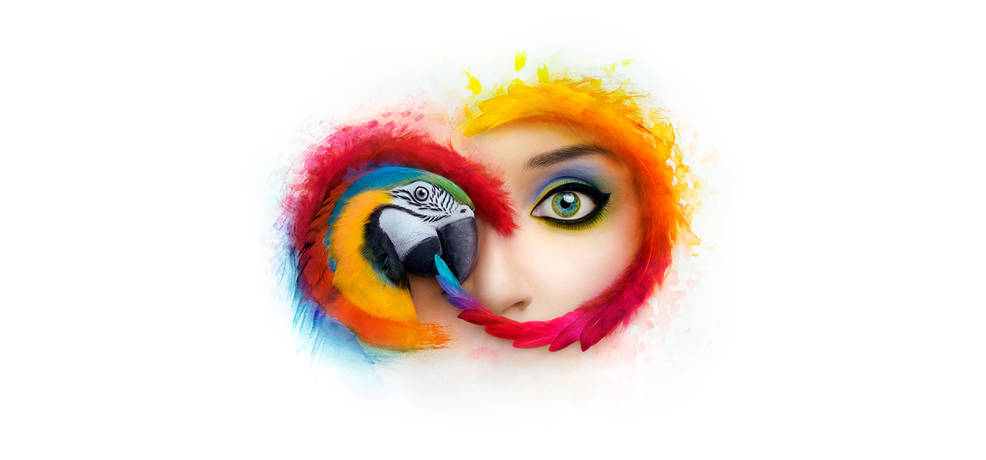 Adobe MAX 2017